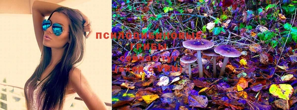 spice Бугульма