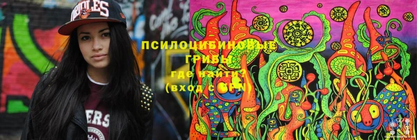 spice Бугульма